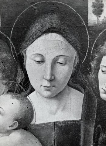 Anonimo — Dei Pietro (Bartolomeo della Gatta) - sec. XV - Volto della Madonna — particolare